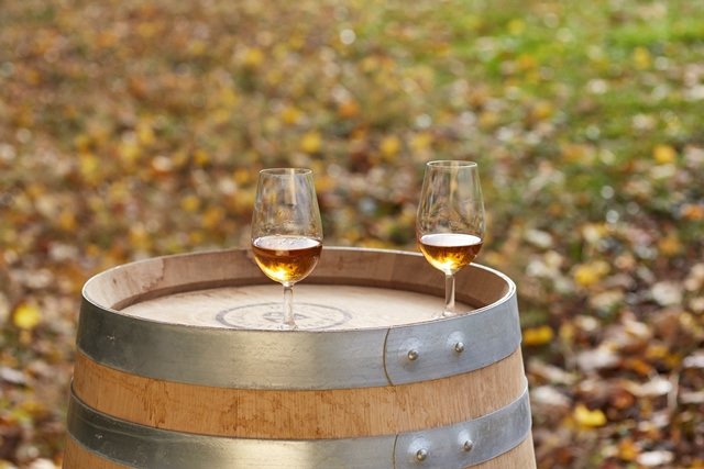 distillerie d'hautefeuille beaucourt en santerre