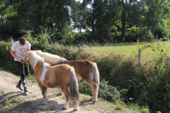 centre equestre berny sur noye