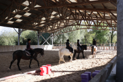 centre equestre berny sur noye