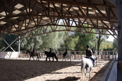 centre equestre berny sur noye