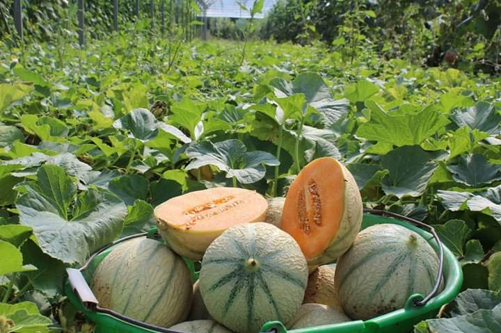 jardin d'ainval ainval