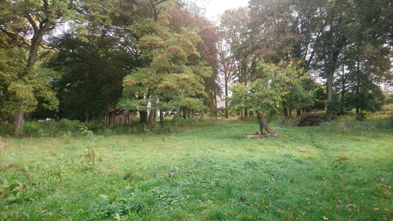 le jardin des écureuils démuin