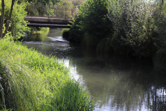 berny sur noye plan d'eau