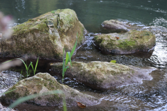 berny sur noye plan d'eau