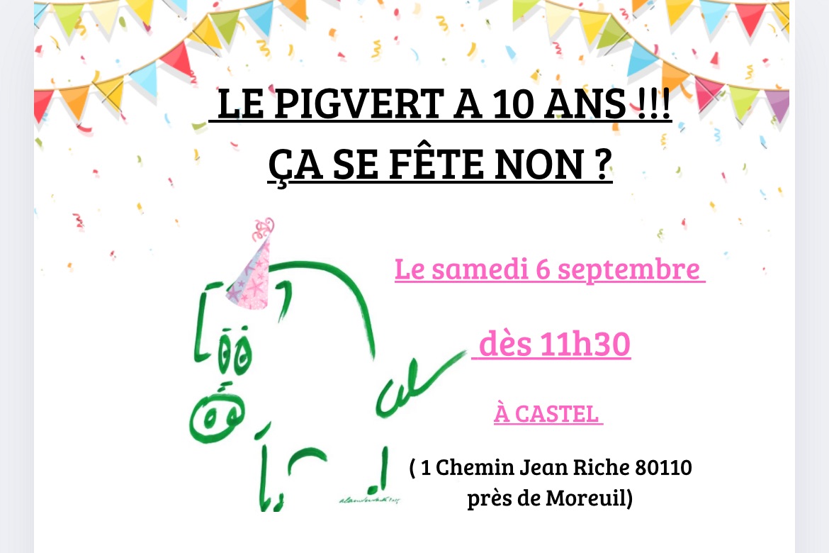 06 09 10 ans pig vert