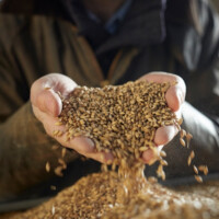 distillerie d'hautefeuille beaucourt en santerre