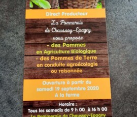 118835671_315528823232579_8933766485524364630_o