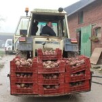 jardin d'ainval ainval