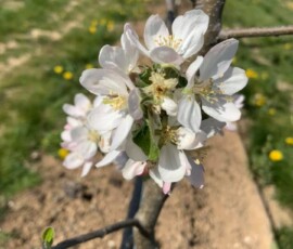 93610098_210380360414093_9166000662578724864_n