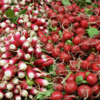 pig vert moreuil castel