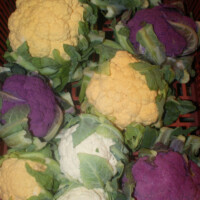 pig vert moreuil castel