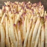 jardin d'ainval ainval