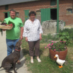 jardin d'ainval ainval