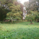 le jardin des écureuils démuin