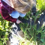 jardin d'ainval ainval