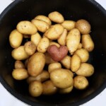 jardin d'ainval ainval