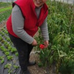 jardin d'ainval ainval